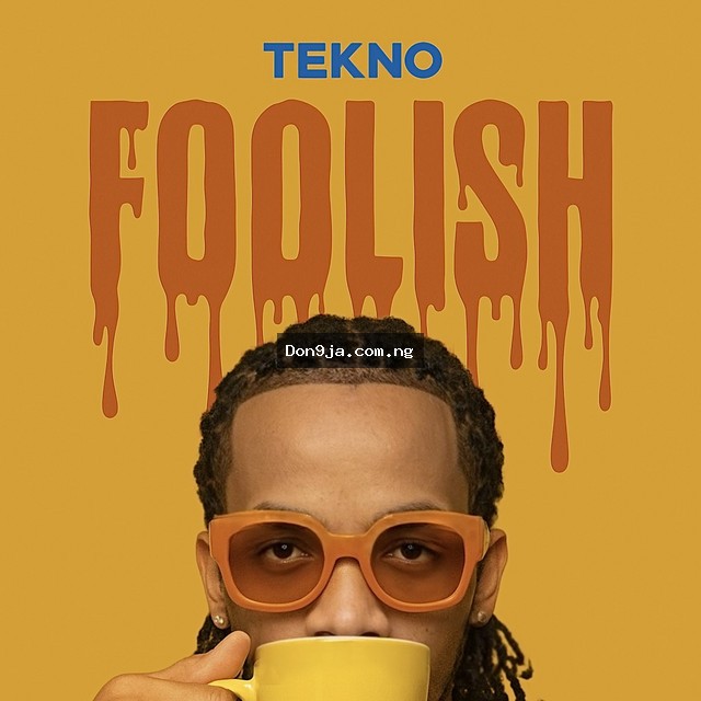 Foolish cover
