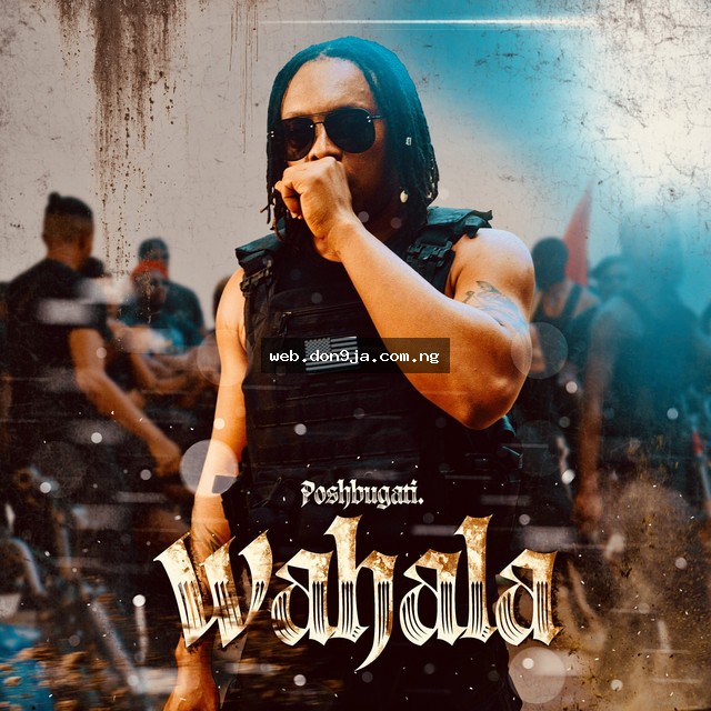 Wahala cover